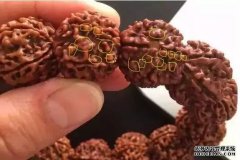  ���������·���