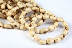 ���� ʲô�Ƿ����������᣿