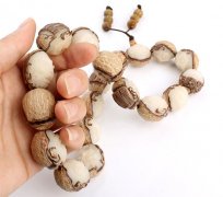 ����������Ĺ�Ч�������ܸ��˴�������