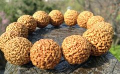 ���� �⴮�����������ִ����ĺó󰡣��ܼ��־�֢�����룡