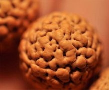 ���� ʲô�Ƿ�����������