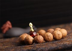 �������� ��������������������Щ��