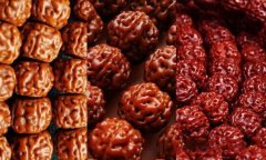  ��Ϥ����������������ǿ϶���֪��