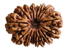 ������� 21������������۸��ж��