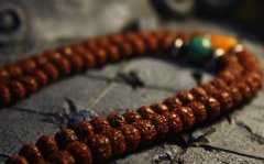 ������� ��֪��������Խ��Խ��ķ�����