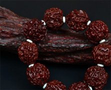 <b>������� ������������������������</b>