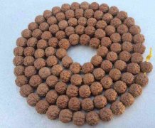 �ܲ��������������ѵ���