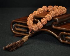 ������� �������������������ô����