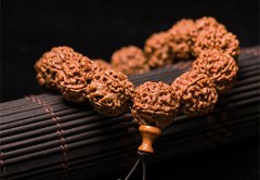 ������� 5�������������Ӽ۸����