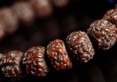 ������� ӡ�������պ��Ჴ������������