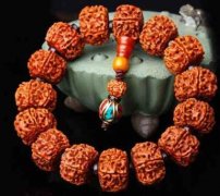 ��Ϊ����������������������������ѵı��