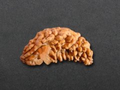 һ��Ҫ���������������ø�