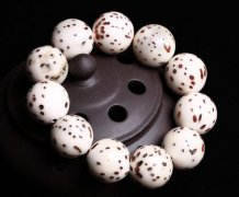 ������� �ļ����ʺ������Щ�����ִ�