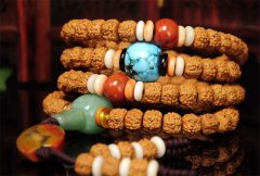 ������� �����ѡ����������