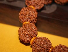 ������� �Ჴ�������������������