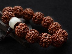  ��η�ֹ���������Ὺ�� 1���ﶬ����