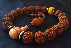 ����������ںķѾ�����ǰ������ѡ�������յ�Ʒ��