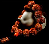 ������� ��Щ������������ֵ���ղ�Ͷ�ʣ�