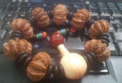 ������� �㻹�ڸ��������������������