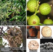 �������� ����������������ӣ�̸̸�������ࡢ����ͱ���