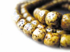 �����Щ�����۵�ֲ��������ѧ�ʺܴ�