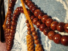 �������� ���������ѡ��������