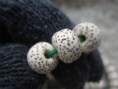 �������� �������������ִ�������