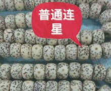 ��������Ƭ״�Ժ��������ǿ����