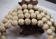 �������� ��������������ʲô��