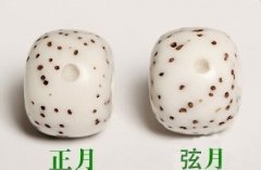 ��Ϊ�������������ƫ��(����)��������