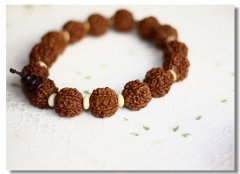  ��ͬ�����������������ִ�����������˼Ҳ��һ��