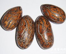 �������������߶Ի������նȲ�ͬ