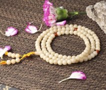 �������� ����������ʲô��˼�� �����������ô�̺죿