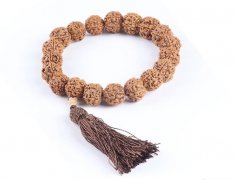 ����Ŀǰ�г��ϳ���������˫�����һ��ں�������ϸ����