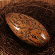 �������� ����ǧ������ᱬը������ר����ν���