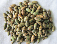 �������� ������������ľ�ƽ�� ѡ��ǧ������Ҫע��Щʲô��