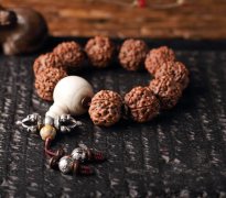 �������� ����ʲô�������ӣ� ��������������᣿