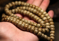 �������� ������ɰ������������ �����������������Ĺ���