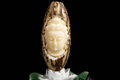 �������� �����ղ�ǧ������֪ʶ��ǧ������ʲô��ɫ���