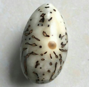 �������� ����ǧ������ᱬը��ǧ�����ᱬը����߱�����������