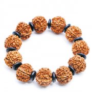  �� ����ʱ������ ��˫��