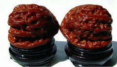 �������������(ͼ)