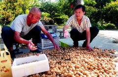 ������Һ��һ�÷��� �ܳ���������������Ԥ�������