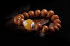 ���ִ�׵����γ������������ԭ��