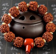  ʮһ�꣺������ʹ�������