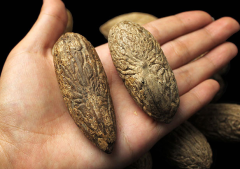 �����ǳɾ͸��ܶȵ���Ҫ����