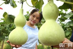 ��������ε��οͽ��¶�����������DIY�Լ�ϲ���ĺ�«����