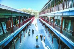 �������ӵ�ҵ̬�����͹���ǵ�רҵ��