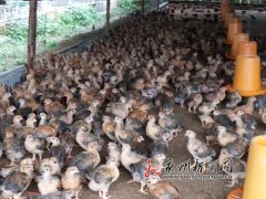 �ڽ�������������������������л����塰������ֳ�����硱