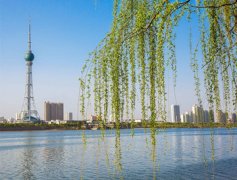 һҹ֮��30������ϵ�������ұ���